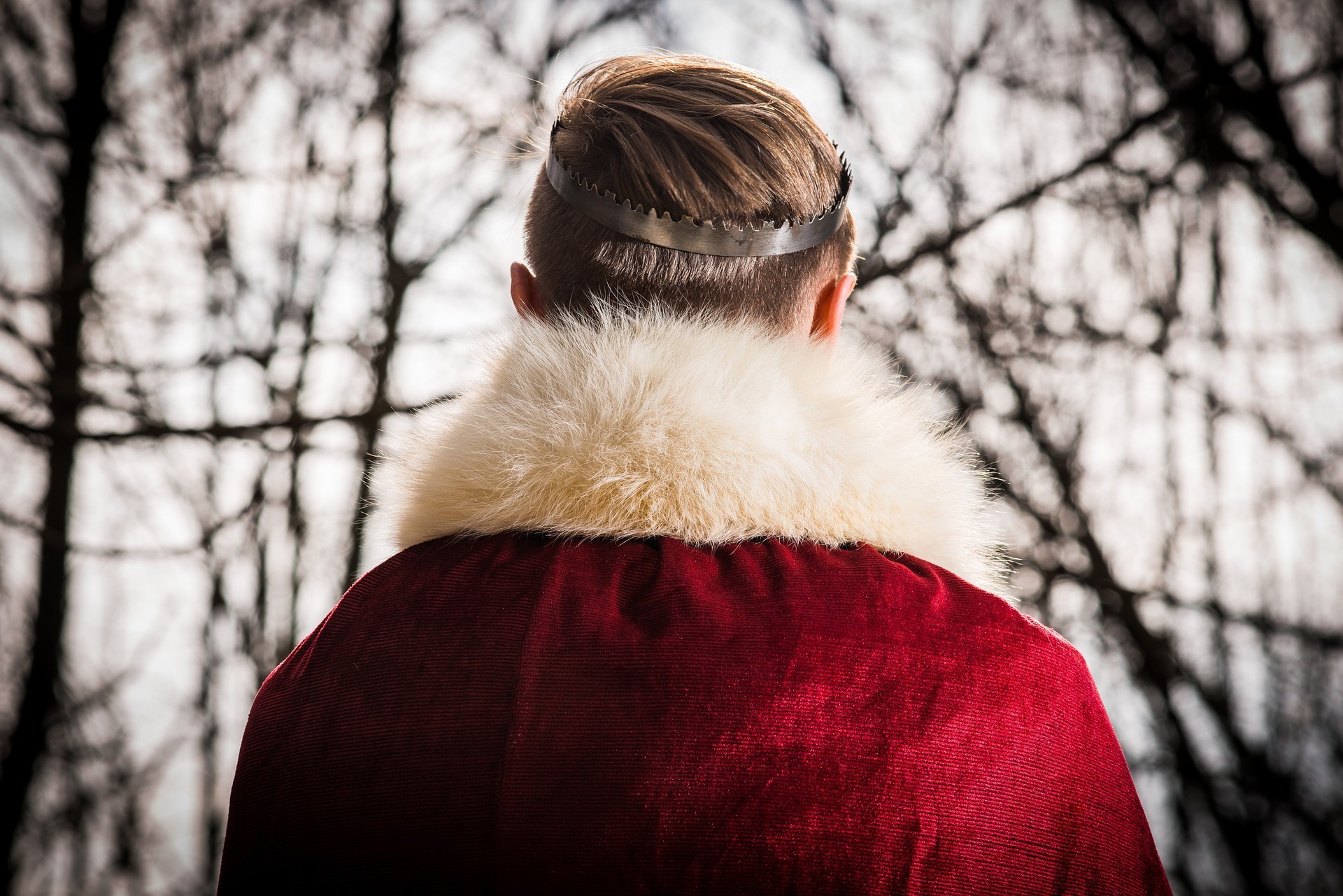 Back of a man's head wearing a crown