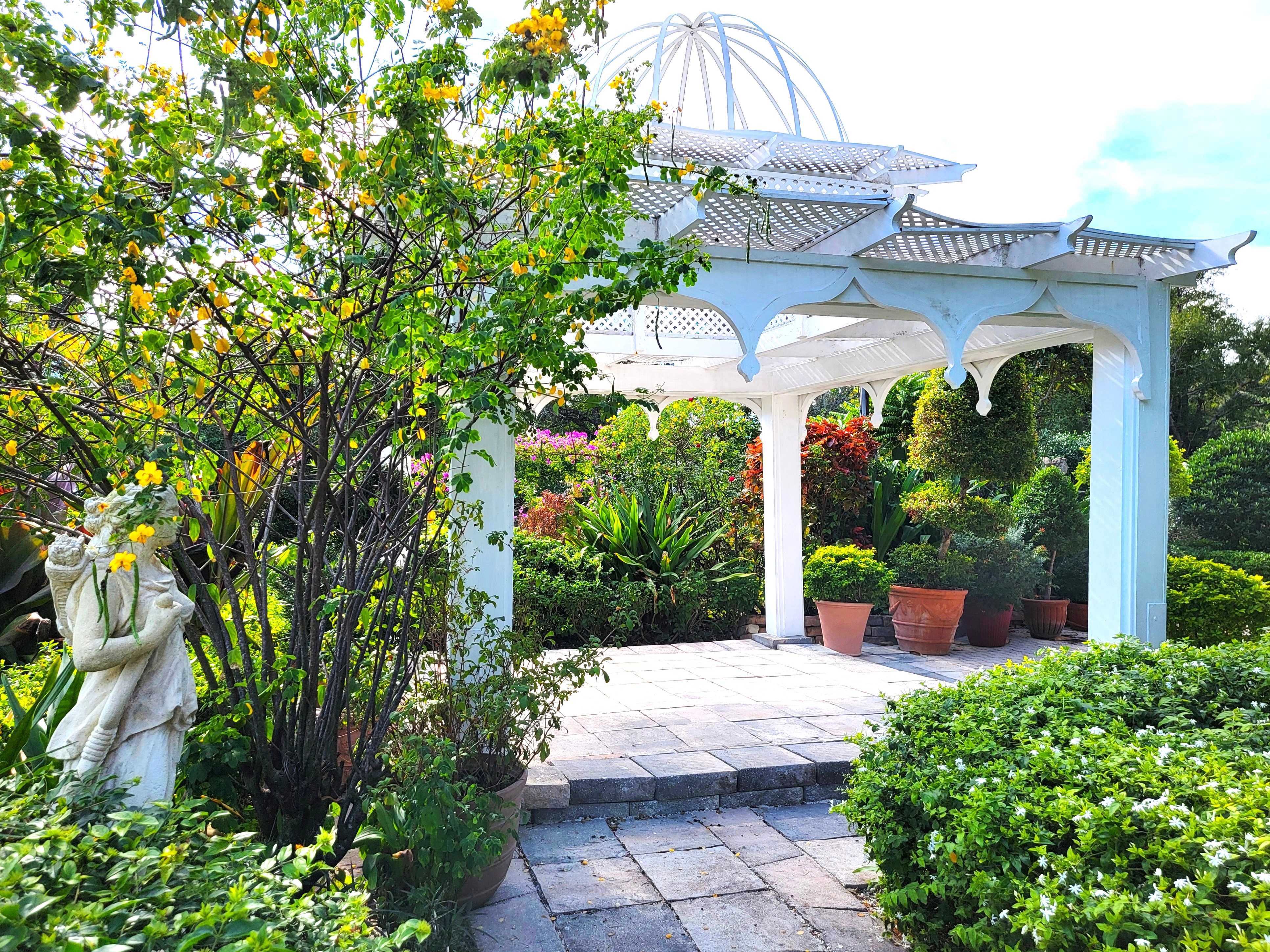 Spring flowers are just around the corner...