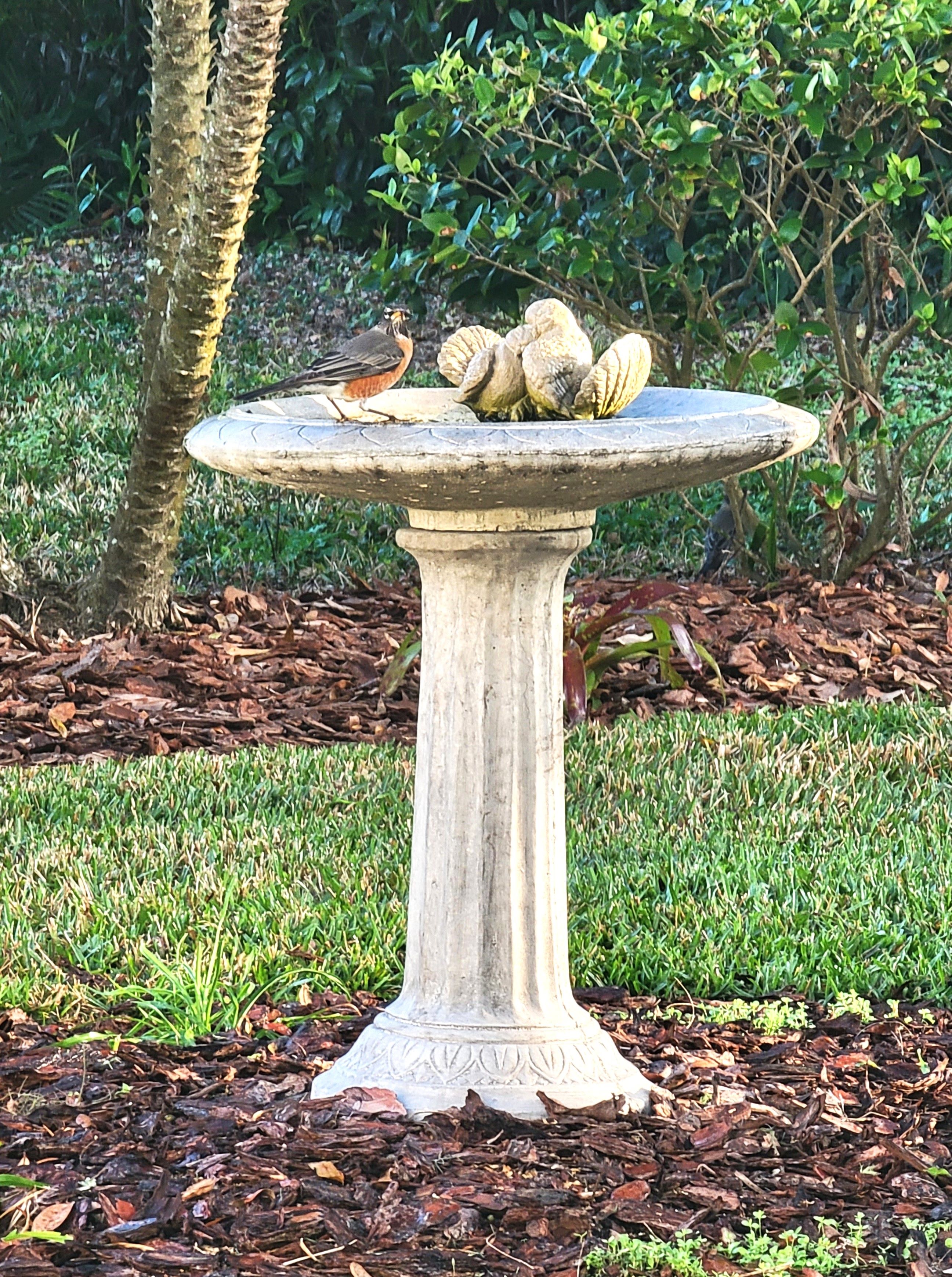 Robins herald that spring's on the way.