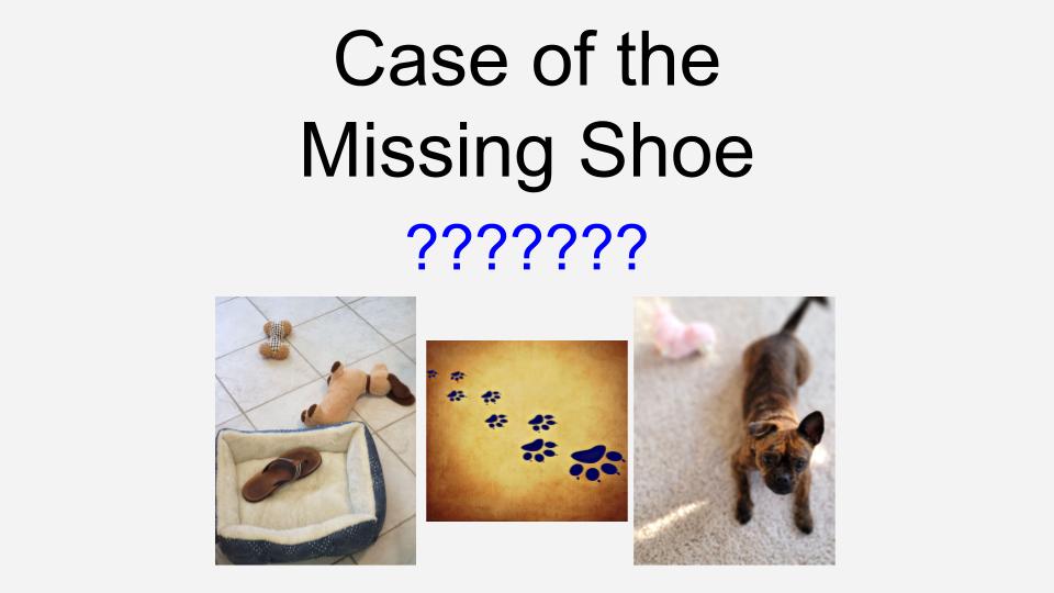 A recent puppy adoption led to interesting developments...