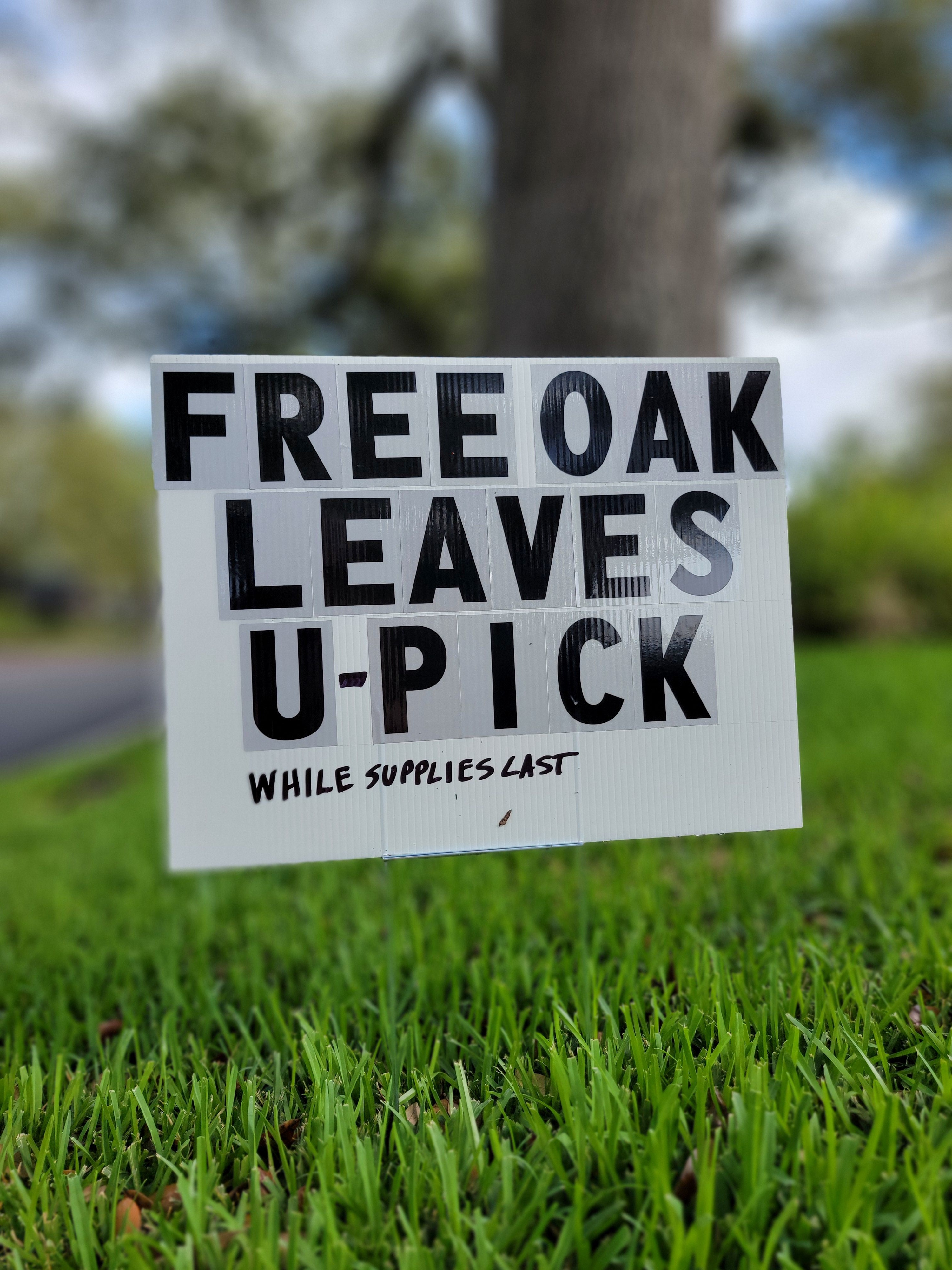 When presented with a challenge, do you innovate?