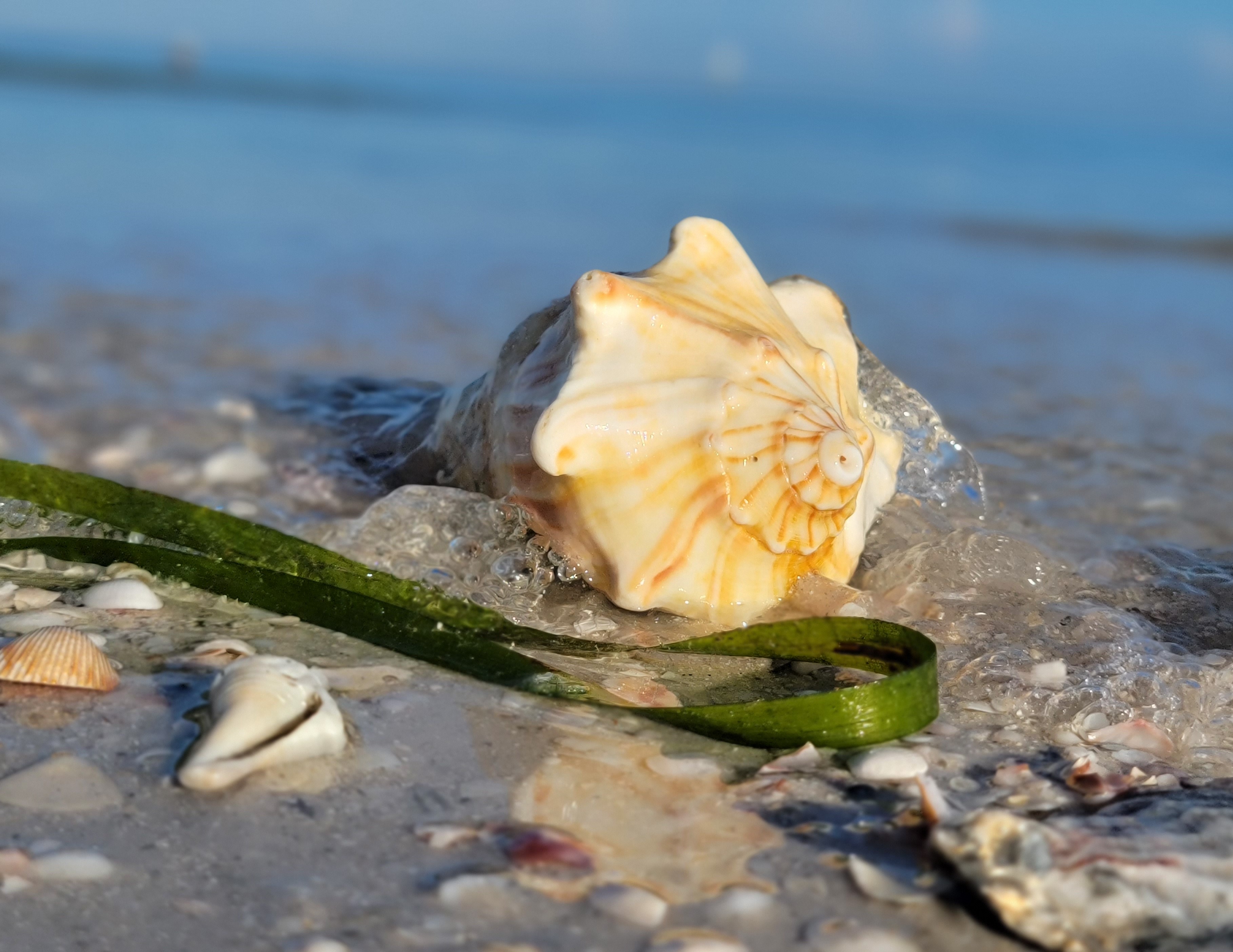 May you find stability despite rolling waves.