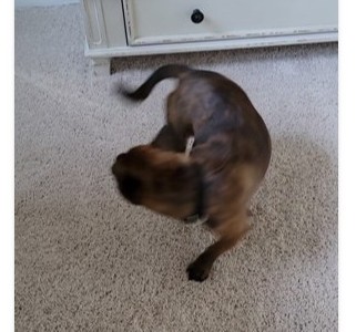 Running in circles makes us dizzy and accomplishes nothing.
