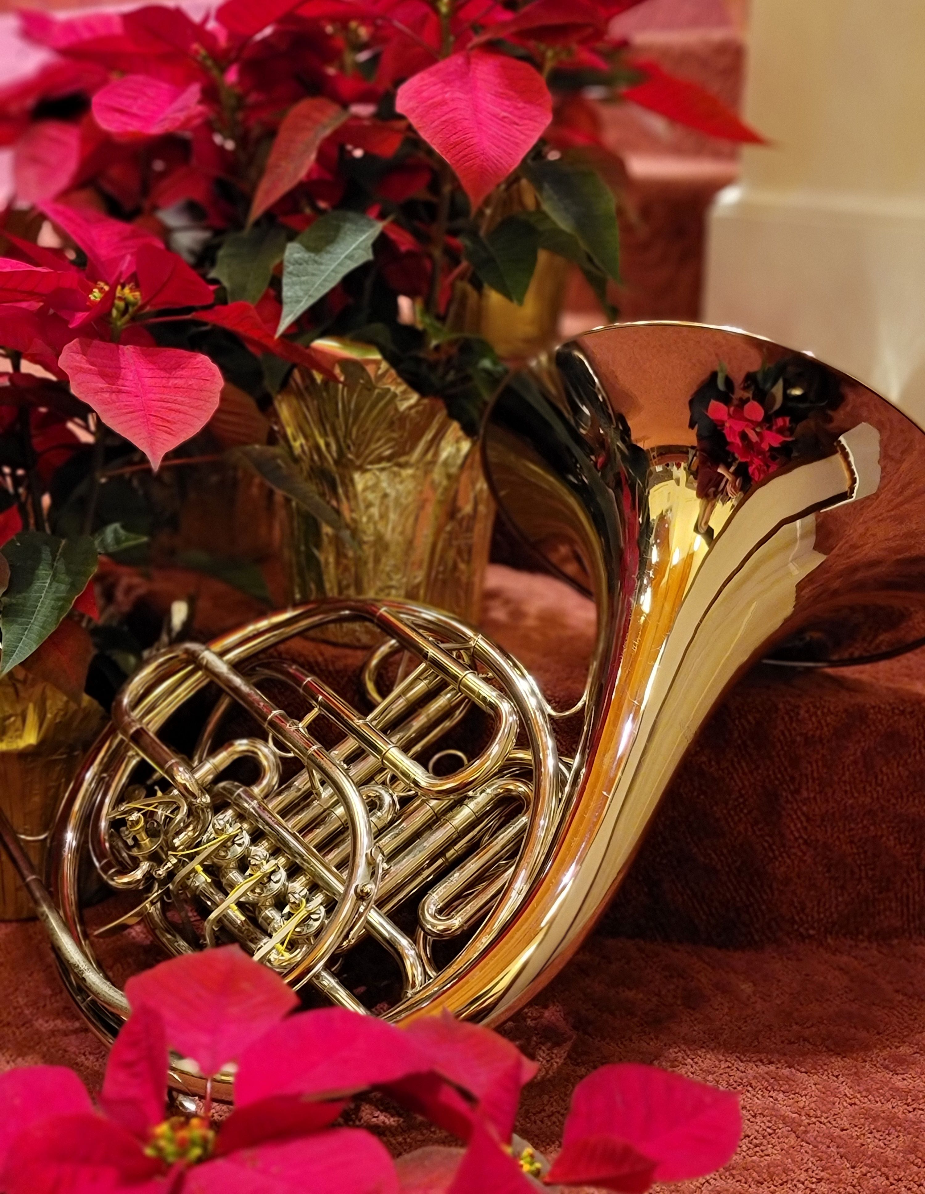 Joy rings out with hope in this season celebrating the birth of Jesus.