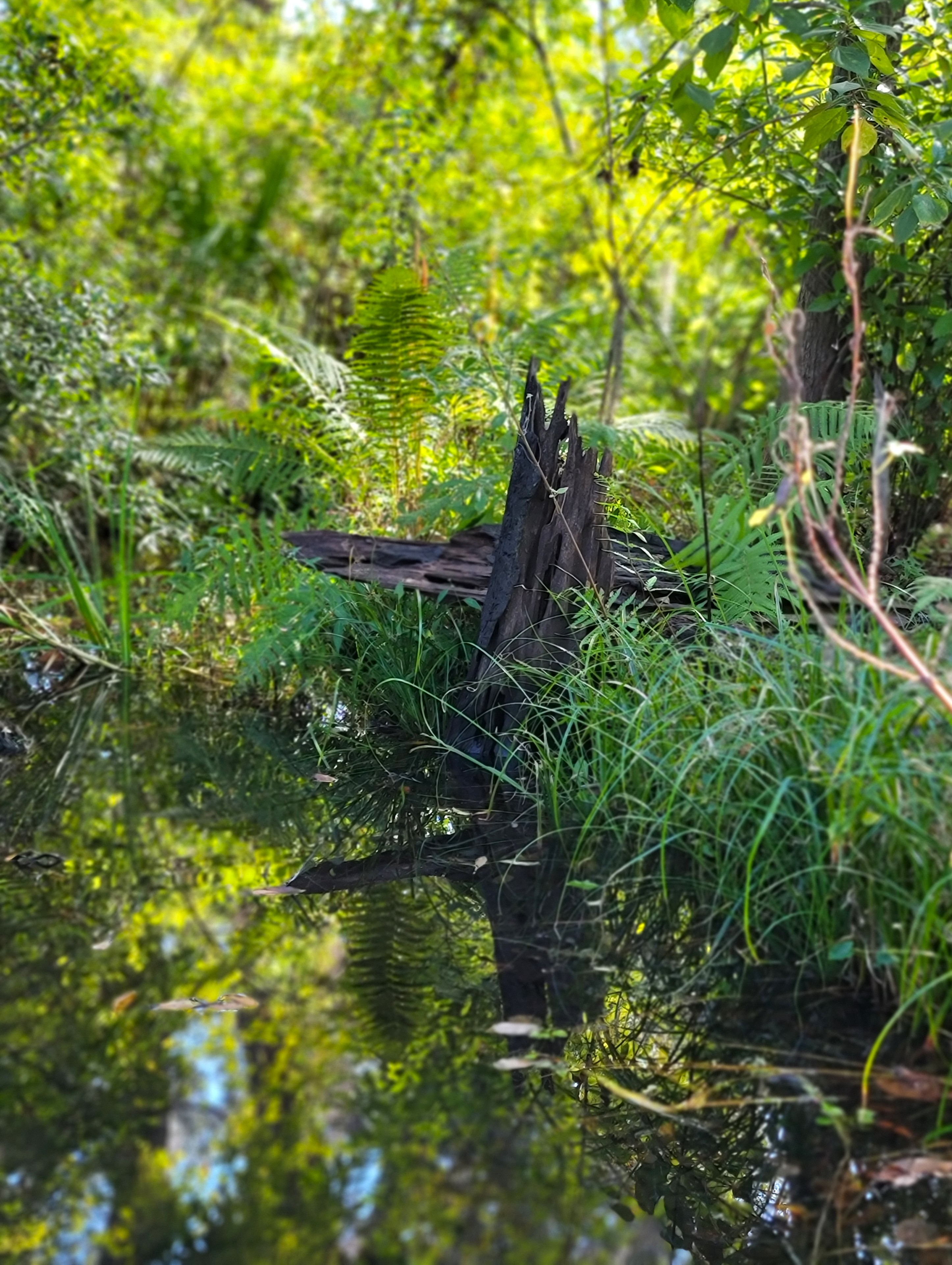 Give the gift of time adventuring together to a local park