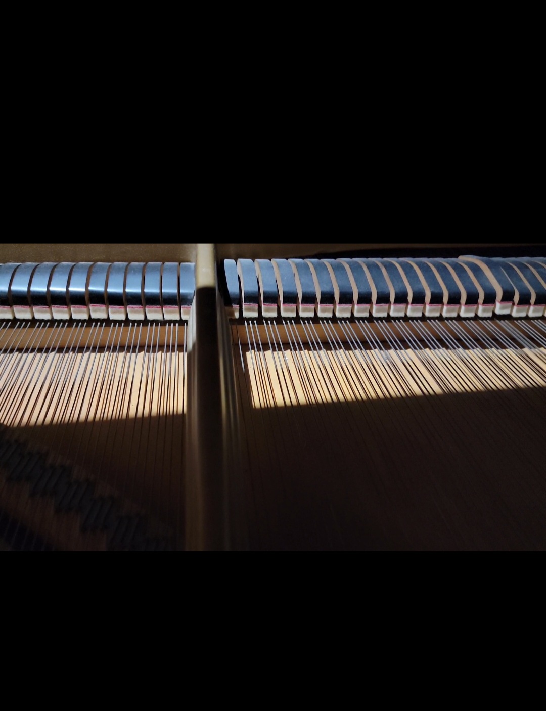 While ivory keys may get the most attention, it is the strings and sound board that make the music.