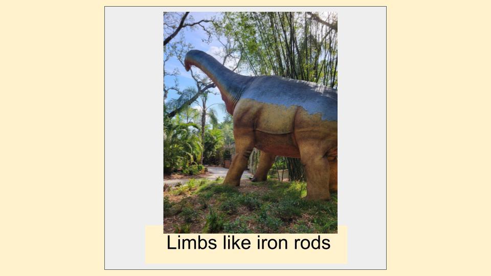 Does