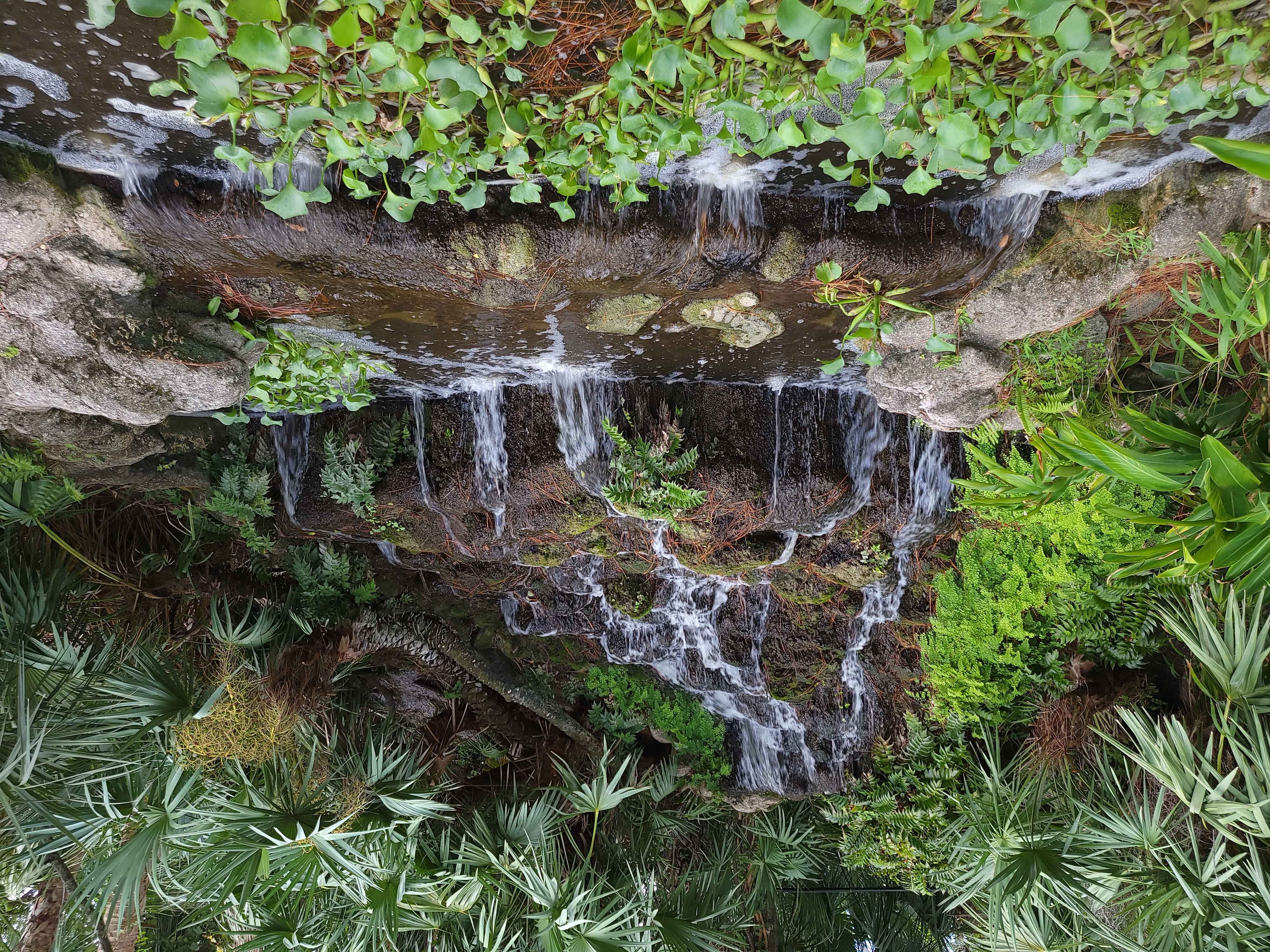 Can you guess the location of the lush waterfall?