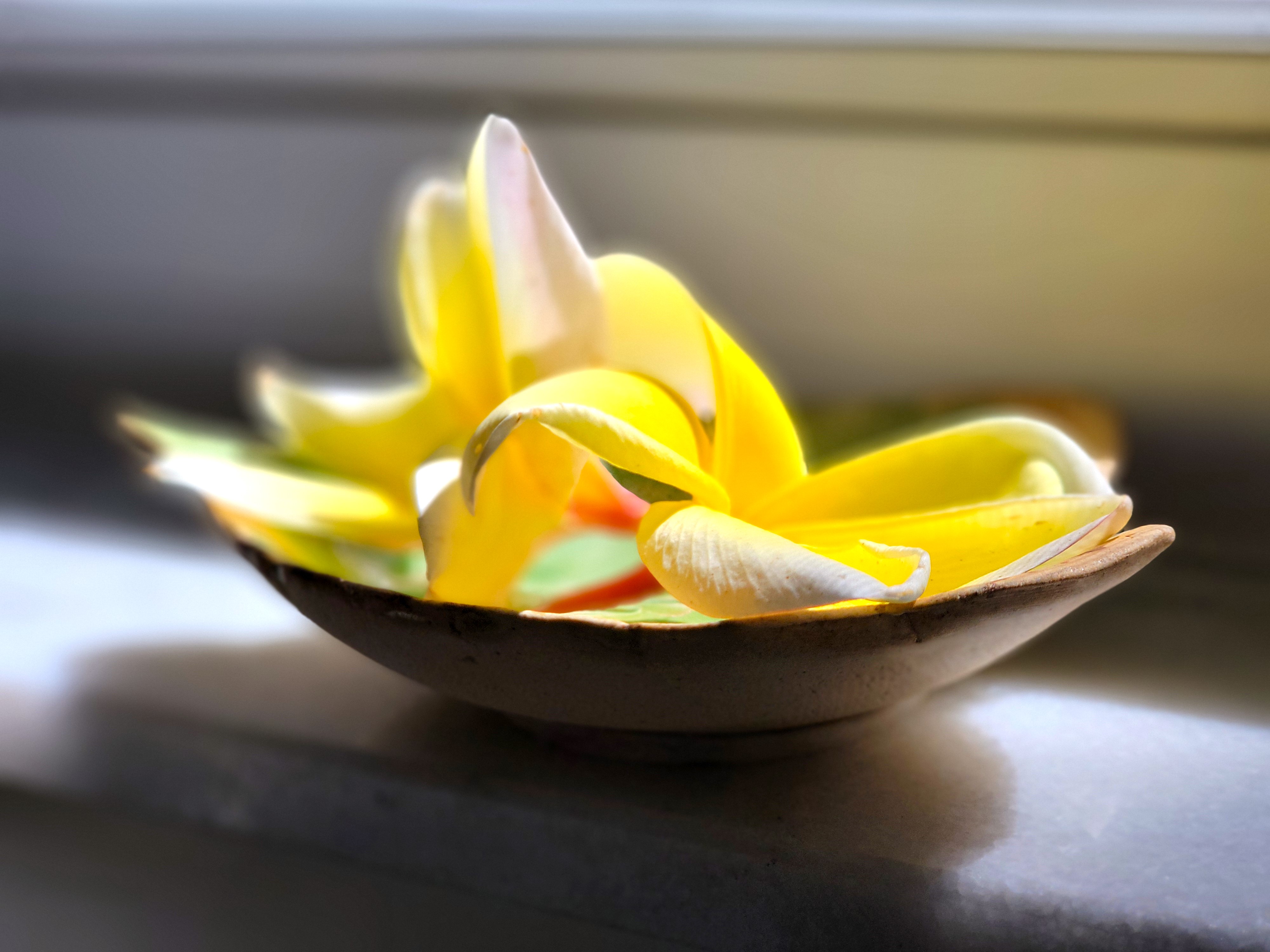 Bouquet discovered on morning walk