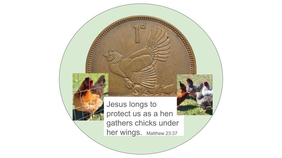 Hens