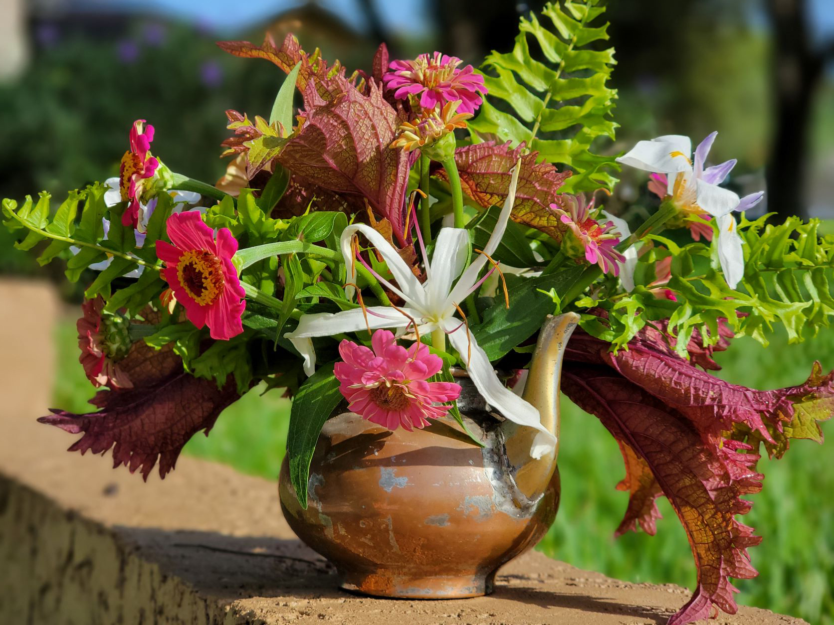 This little antique teapot spouts colorful zinnias from the back yard.